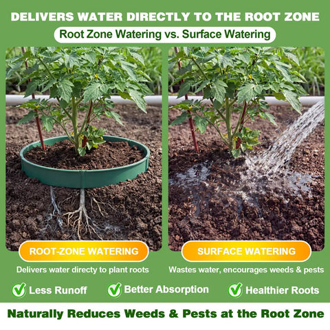 Comparison of root zone watering with Must Have 80 Piece Adjustable Interlocking Plant Rings Kit and surface watering.