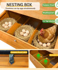 Wooden Chicken Coop For Backyard Living With Outdoor Hen House Design, Three Nesting Boxes, Removable Tray, Foldable Ramp, And Sturdy Asphalt Roof For Easy No Fuss Chicken Care, featuring nesting boxes with eggs and a hen.