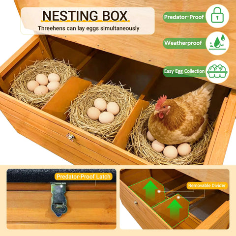 Wooden Chicken Coop For Backyard Living With Outdoor Hen House Design, Three Nesting Boxes, Removable Tray, Foldable Ramp, And Sturdy Asphalt Roof For Easy No Fuss Chicken Care, featuring nesting boxes with eggs and a hen.