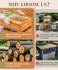 Comparison of a 10 Frame Medium Bee Super Box with beeswax coating and a dovetail structure against untreated beehives.
