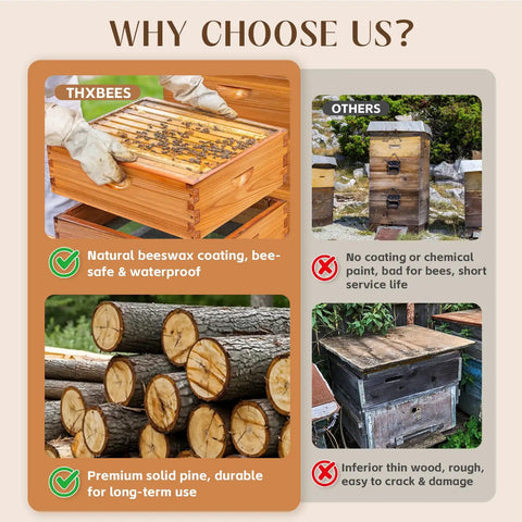 Comparison of a 10 Frame Medium Bee Super Box with beeswax coating and a dovetail structure against untreated beehives.