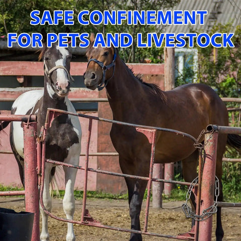 Horses in a fenced enclosure, highlighting the use of a Tough As Nails Heavy Duty Gate Chain Lock With Carabiners For Fences And Barn Doors.