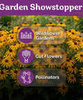 Top Shelf 10000 Black Eyed Susan Heirloom Flower Seeds For Planting display with vibrant yellow daisies and pollinators in garden backdrop.
