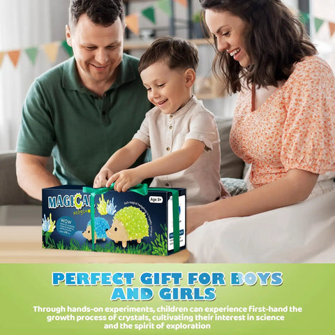 Family with child enjoying Crystal Growing Kit For Kids, Two Color Hedgehog Crystals Grow In 24 Hours