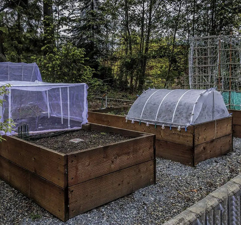 4x10 Ft Garden Bug Barrier Netting For Pest Protection installed over raised beds, shielding vegetables from insects and birds.