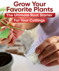 Rooting Hormone Powder For Plant Cuttings 0.80-1.60% IBA, Semi-Hardwood Starter, Speeds Up Root Growth For Any Plant Varieties, Ready-To-Use Pack For Faster Rooting Results In All Plant Types, hand applying powder to plant cutting