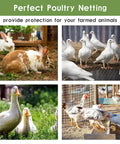 Image showing various farm animals protected by Heavy Duty 24 Inch By 100 Foot Black Hardware Cloth With One Inch Square Mesh.