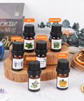 All In One DIY Candle Making Kit for Adults With Beeswax Essential Oils Dyes Wicks And Tins No Fuss Beginner Friendly Craft Gift Set For Holidays And Home Scent Creations showcasing six essential oil bottles labeled mint, lemongrass, lavender, eucalyptus, tea tree, and orange on a wooden stand.