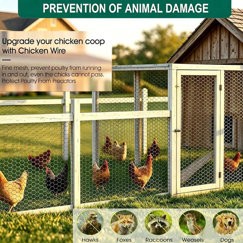Pro Grade Chicken Wire Fencing Mesh Roll 1 Inch Hexagonal Poultry Netting Hot Dipped Galvanized around chickens in coop.
