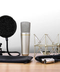 Studio Condenser Mic With 34mm Gold Diaphragm, Hydro Pop Filter, Metal Shock Mount, XLR Cable, Mic Bag for Home Recording