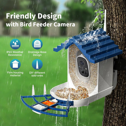 Smart Bird Feeder With Camera installed on a tree, featuring solar panel roof and seed tray, 2K Live Video, AI Bird Identification