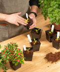 Person using Square Nursery Pots 3.3 Inch Flexible Plastic Seedling Pots for Plants, Succulents and Flowers, Pack of 100 with labels.