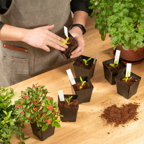 Person using Square Nursery Pots 3.3 Inch Flexible Plastic Seedling Pots for Plants, Succulents and Flowers, Pack of 100 with labels.