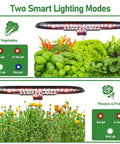 Smart Indoor Hydroponics Growing System Kit With 15 Pod Herb Garden showing lighting modes for vegetables and flowers