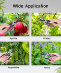 Wide application of Six Point Five Inch Pruning Shears Set, cutting apples, grapes, vegetables, and herbs in garden setting.