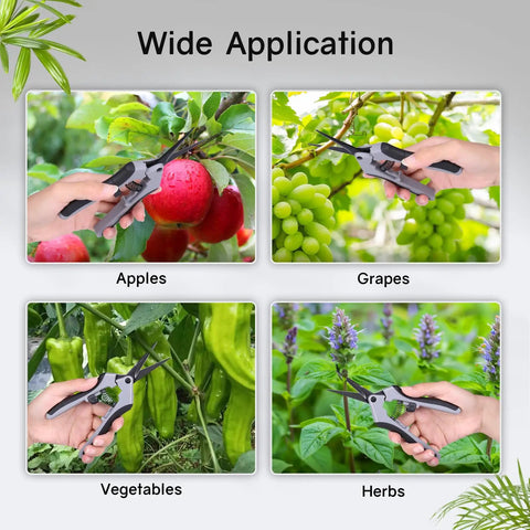 Wide application of Six Point Five Inch Pruning Shears Set, cutting apples, grapes, vegetables, and herbs in garden setting.