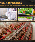 Rabbit, parrots, and chickens in cages showcasing Hog Ring Pliers Kit Type M With 3000 M Clips For Fencing And Animal Cages.