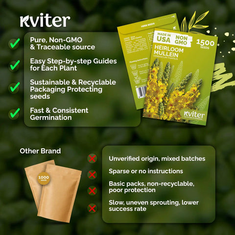 Product packaging of 1,500 Yard Ready Mullein Seeds For Planting Verbascum Thapsus Heirloom Organic Non GMO US Grown