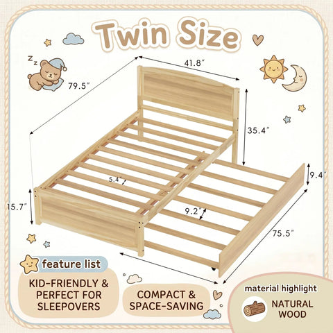 Twin bed frame dimensions with pull out trundle, solid pine wood, natural finish, space-saving design for kids and teens.