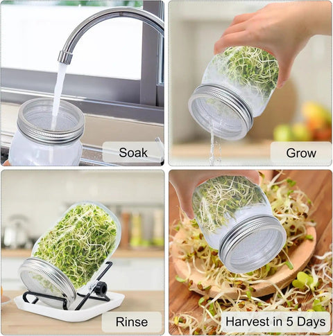All In One Sprouting Kit With 1000ml Glass Jar, Filter Lid, Adjustable Bracket, And Drip Tray for Growing Sprouts at Home