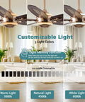 52" Plywood Modern Ceiling Fan with Light and Remote for Living Room Golden showcasing dimmable LED lights in three color settings.