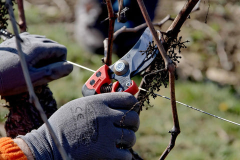PX Medium Pruner For Precision Slicing With Number Two Blade Ergonomic Garden Shears cutting small branch