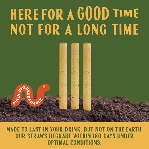 Bulk 8 Inch Agave Straws Wrapped 2,000 Count Eco Friendly Compostable Drinking Straws Made From Upcycled Agave Durable Long Lasting Sippers That Won’t Get Soggy, 3 straws in soil