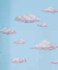 Sky Cloud Wall Decals Kit For Kids Rooms And Nurseries, Peel And Stick Cloud Mural Art with 12 removable clouds on blue background