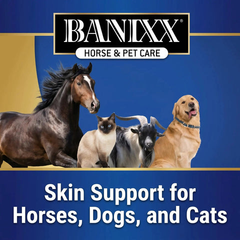 All-In-One Horse And Pet Grooming Spray For Horses, Dogs And Cats Daily Skin, Coat, And Hoof Care Alcohol-Free Non-Staining No Odor Made In USA 8 oz Safe For Daily Grooming At Home Or On The Road banner with images of a horse, cat, goat, and dog.