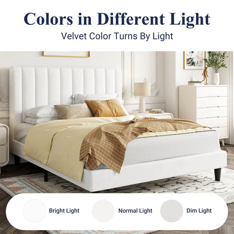 Full Size Velvet Upholstered Bed Frame With Channel Tufted Headboard And Heavy Duty Wooden Slats Platform Bed Base No Box Spring Required Easy Peasy Assembly in bright light
