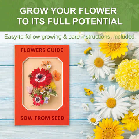 Indoor Daisy Garden Starter Kit With Planter Bags, Markers, Soil Disks, Mini Shears, And Planting Guide with flowers guide book.