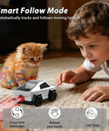 Young boy watching Cyber Inspired Remote Control Car With 360 Drift Spray Lights And Sound Effects following a kitten indoors.