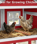 Extra Large Outdoor Chicken Coop With Run And Wheels For Six To Ten Chickens with hens on roosting bar inside shell