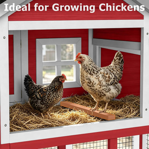 Extra Large Outdoor Chicken Coop With Run And Wheels For Six To Ten Chickens with hens on roosting bar inside shell