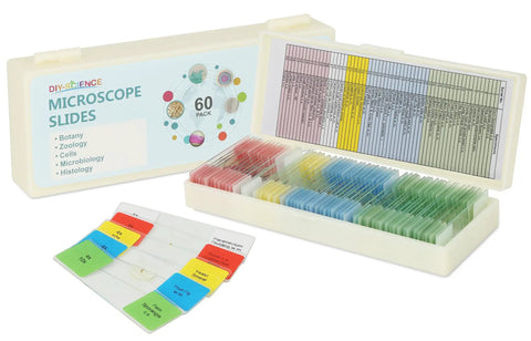 60 Lab Grade Prepared Microscope Slides With Animal Plant Microbe Tissue Specimens For Homeschool And Classroom STEM Biology Kit