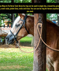Horse tied using Stainless Steel Horse Tie Ring Kit With Magnetic Fastening System for cross ties at an outdoor post.