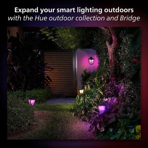 Outdoor garden path lit by Hue lights with 40W Outdoor Power Supply For Hue Lights, Weatherproof Low Voltage Hub, enhancing ambiance.