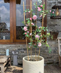 3 Pack 4 Foot Bamboo Trellis Fan Shaped Plant Support For Outdoor And Indoor Potted Climbing Plants Vegetables Tomatoes Cucumbers Vines Flowers And More Sturdy Handmade Natural Bamboo Stakes Perfect For Hoya Jasmine Grapes with pink flowers