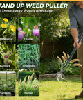 Stand Up Weed Puller Tool With A 46 Inch Adjustable All Metal Long Handle And A 4 Claw Steel Head For Root Removal No Bending Or Kneeling Heavy Duty Back And Knee Friendly Garden Weeder removing weeds from lawn