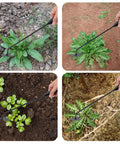 Uprooting Weeding Tool With Four Teeth being used for weed removal in garden, showing lightweight manganese steel forged hand weeder