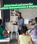 Teacher demonstrating Posable Life Size Skeleton Family Four Piece Set Two Adults At 5ft 4in And Two Kids At 2ft in classroom