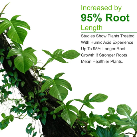 Humic Acid 98 For Plants, Organic Plant Food And Growth Booster, 450 Grams for longer root growth in potted plants