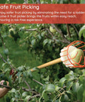 Fruit Picker Basket With Adjustable Knob For Juicy Apples From Trees in action picking apple from branch