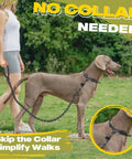 Heavy Duty Slip Lead Dog Leash 6 Ft Half Inch No Pull Training Rope For Large And Medium Dogs Reflective Durable Nylon