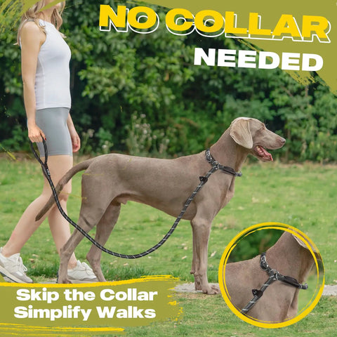 Heavy Duty Slip Lead Dog Leash 6 Ft Half Inch No Pull Training Rope For Large And Medium Dogs Reflective Durable Nylon