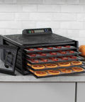 No Sweat Premium Electric Food Dehydrator With Clear Viewing Door And Five Stackable Trays featuring beef jerky and fruit drying.