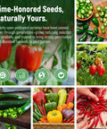 15 Sweet And Hot Pepper Seeds Variety Pack Non GMO Heirloom Garden Seeds For Survival Gardeners displayed in a collage