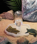 Two In One Reptile Water Bowl And Food Dish With Auto Fill Bottle Keeps Your Cage Clean And Critters Happy No Refill Hustle Ideal For Turtles Lizards Geckos