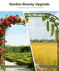 Square Tube Garden Arch Trellis For Climbing Plants Outdoor Metal Arbor Black with roses and vegetables in a garden setting