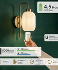 HAOFILM Battery Operated Wall Sconces Set of 2, 5000mAh Rechargeable Wireless Wall Sconce with Remote, Mid Century Modern design with detachable light.